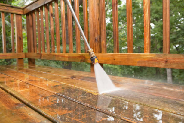 Professional Pressure Washing in South Miami Heights, FL